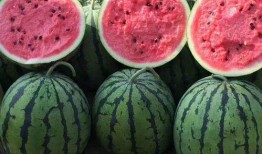 网红吃瓜合集不定时更新,新鲜热辣，每日更新，揭秘娱乐圈幕后故事