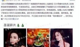 爆料汪小菲出轨对象视频