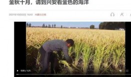 新闻媒体节假日可以爆料吗,揭秘不为人知的幕后真相